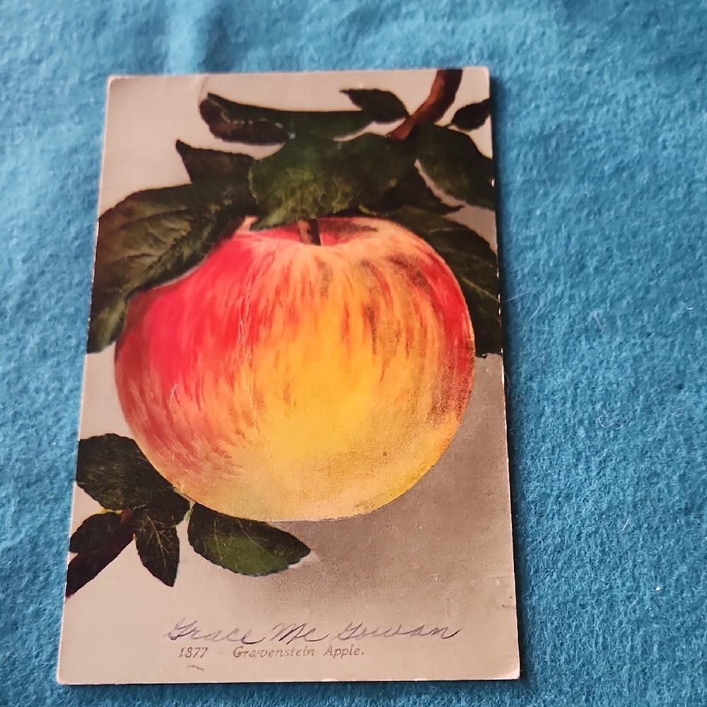 Vintage Postcards. Set Of 4